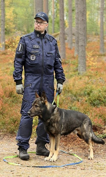 Poliisikoira Morris syksy 2019 Aki Kallatsa pysty