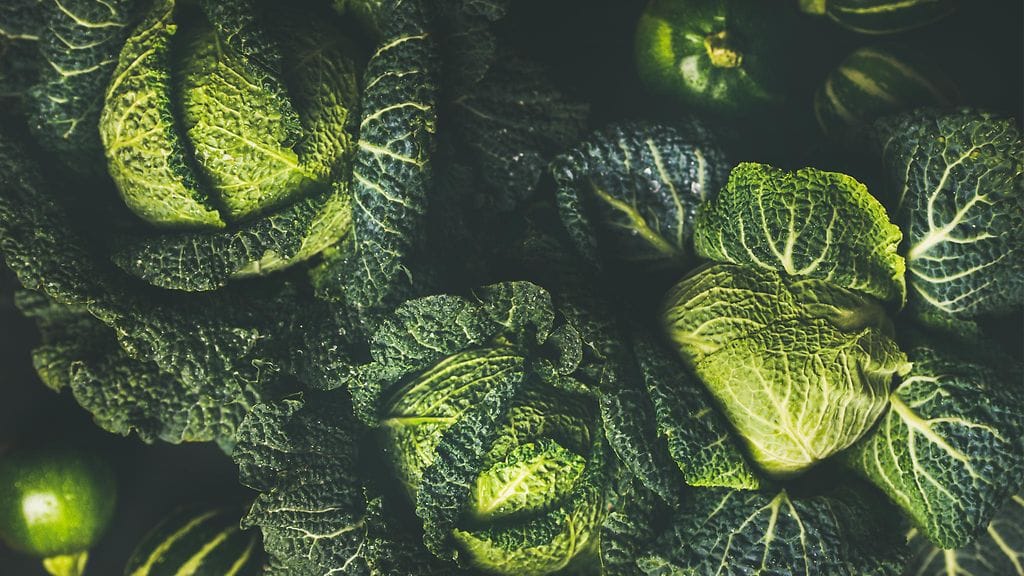 shutterstock_713385958