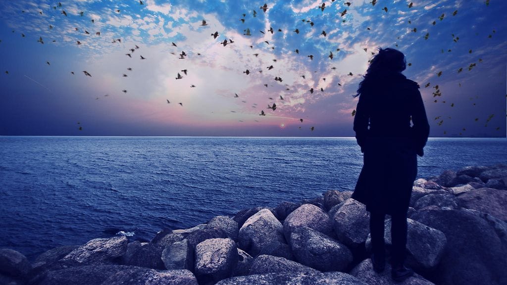 45-vuotias parantumatonta verisyöpää sairastava Hanna Olivas haluaa päättää itse oman elämänsä, jos kivut vievät häneltä elämänilon.