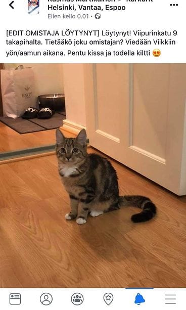 kissahukassailmoitus