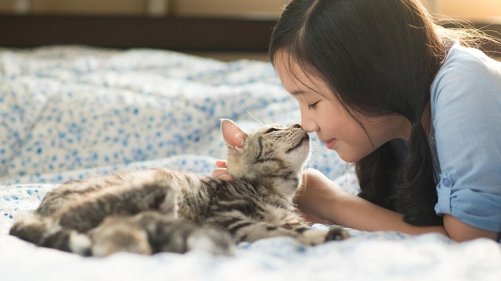 shutterstock_331765481