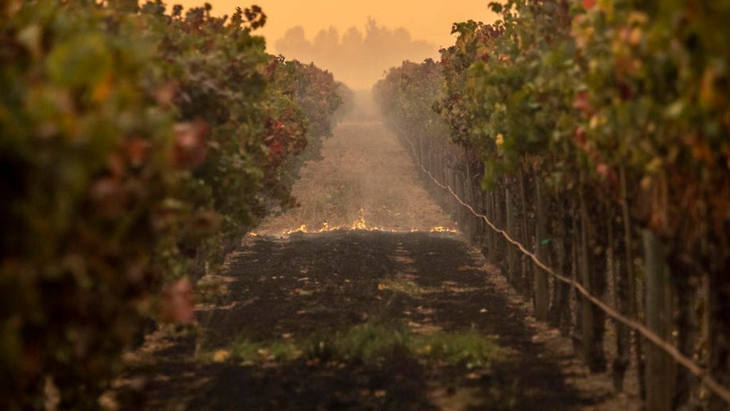 2510 Kalifornia maastopalot EPA (6)