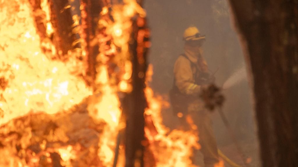 aop_kalifornian_palot2