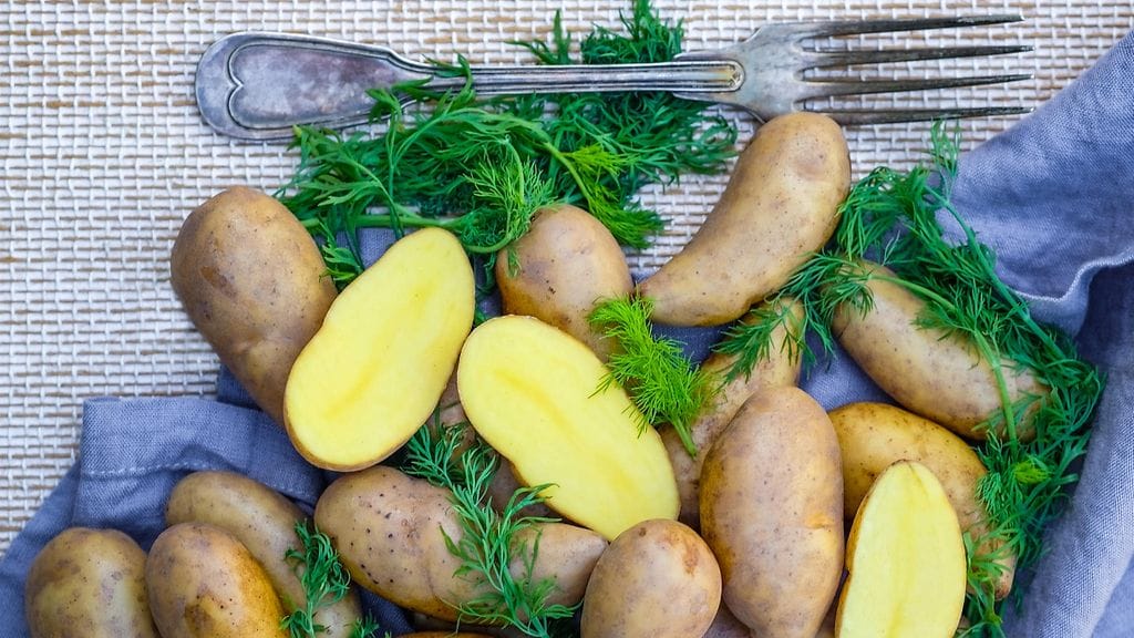 peruna puikulaperuna