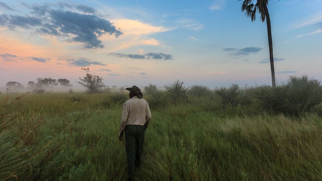 Kuvituskuva. Kuvan sijaintina on Okavangan Deltan alue Botswanassa. AOP.
