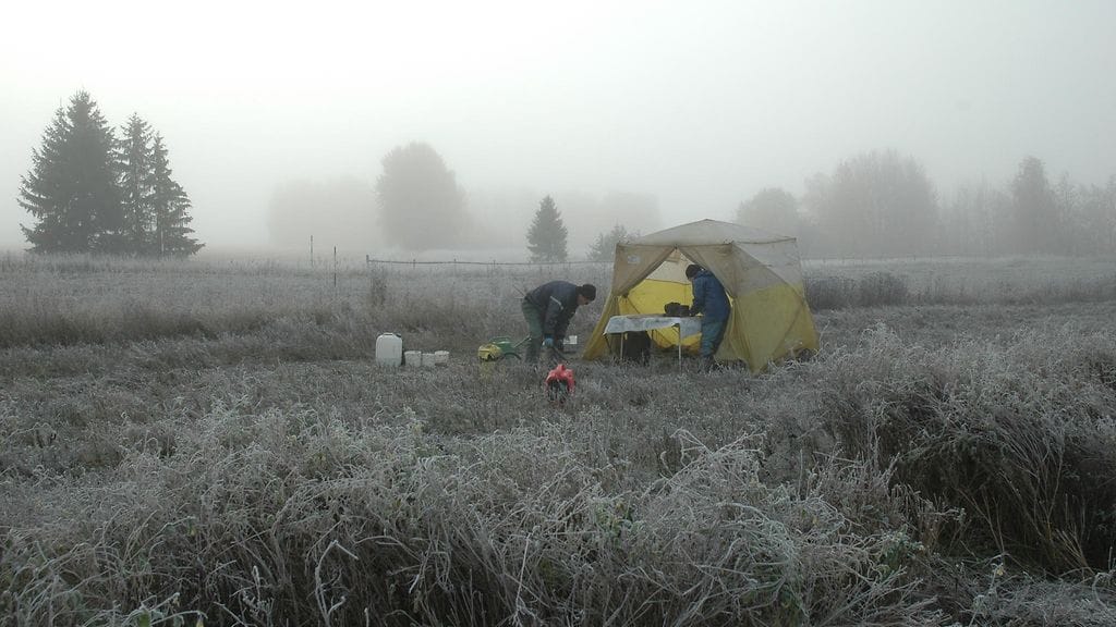 Lierotutkimusta lokakuisena aamuna Luken pitkäaikaiskokeessa Jokioisilla.