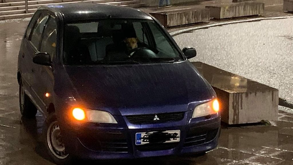 Jalkakäytävälle pysäköidyn Mitsubishin ratissa istui koira.