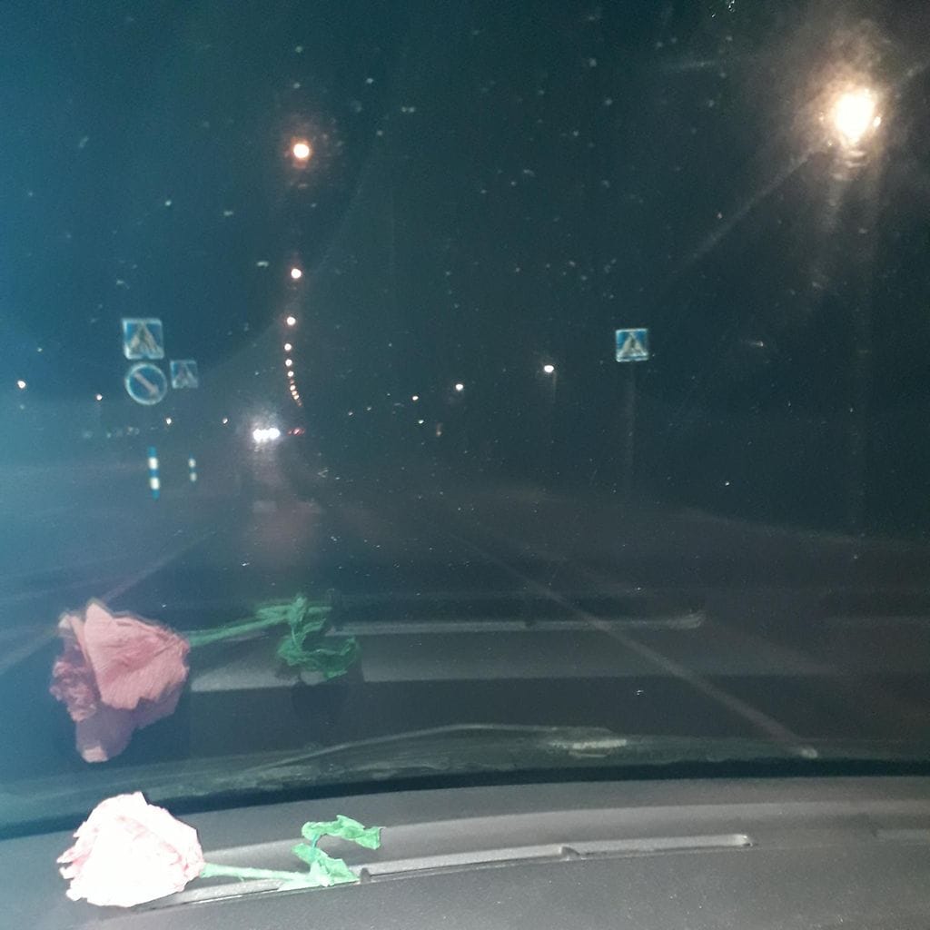 åsan heijastinkuva, oma käyttö