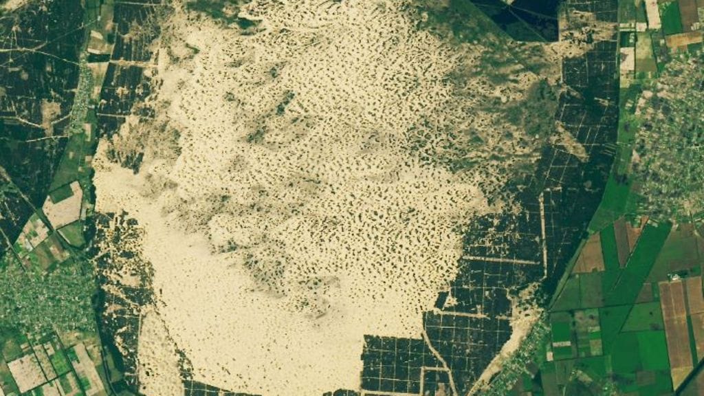 Nasa-aavikko-ukraina-2