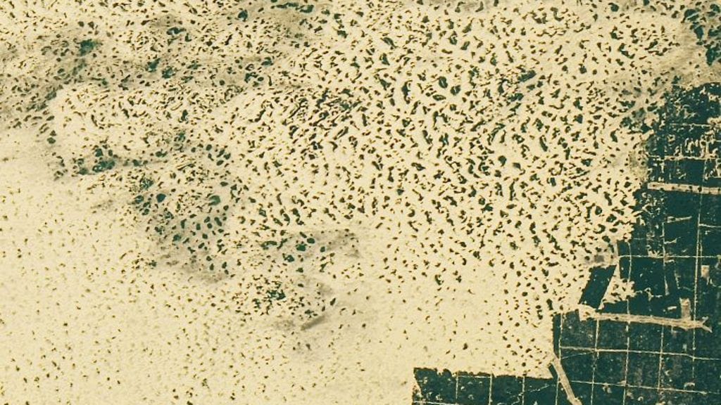 Nasa-aavikko-ukraina-3