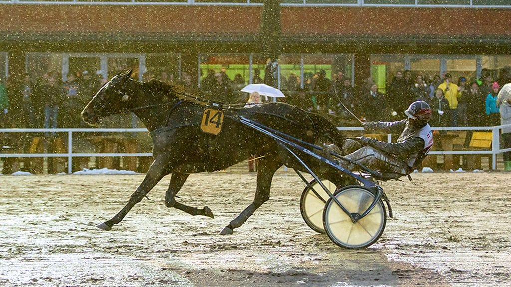 Porin Toto75-kierroksella tapahtui lauantaina hurja kolari. Kuva ei liity tapaukseen.