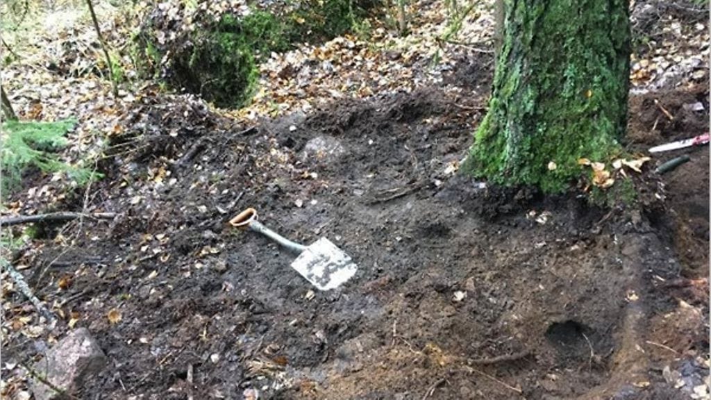 Karjalan kannas sankarivainaja löytyi kuvituskuva 1