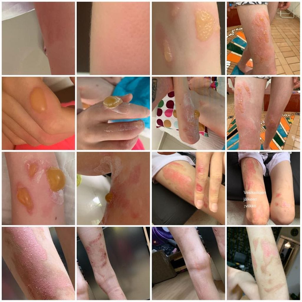 74634621_10220449303767615_8609270582011232256_n