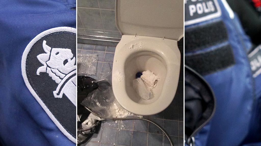 Poliisi ja Tulli suorittivat kotietsinnän Ylitorniolla tammikuussa 2019. Kiinnioton yhteydessä epäillyt hävittivät suuren määrän amfetamiinia. Tutkinnan aikana tehtyjen kotietsintöjen aikana takavarikoitiin myös erittäin vaarallisiksi luokiteltuja ampuma-aseita.