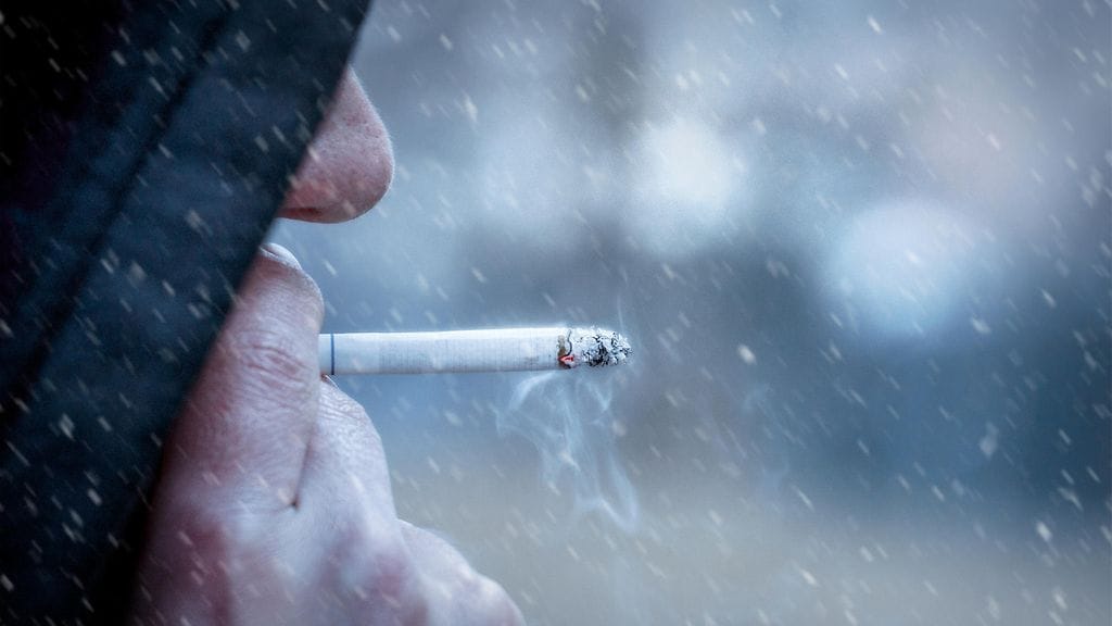 shutterstock_1038727597