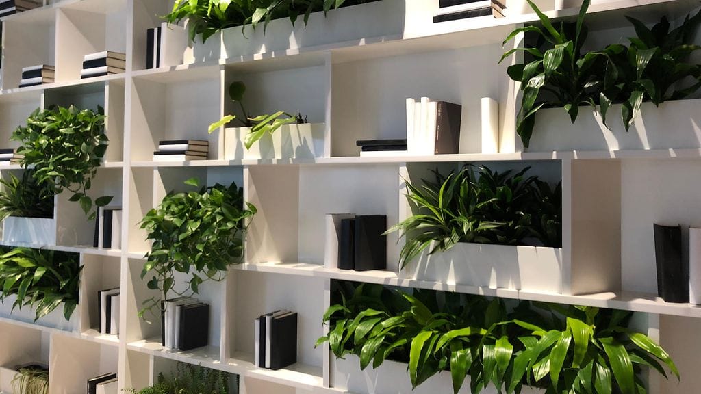 shutterstock_1017074833