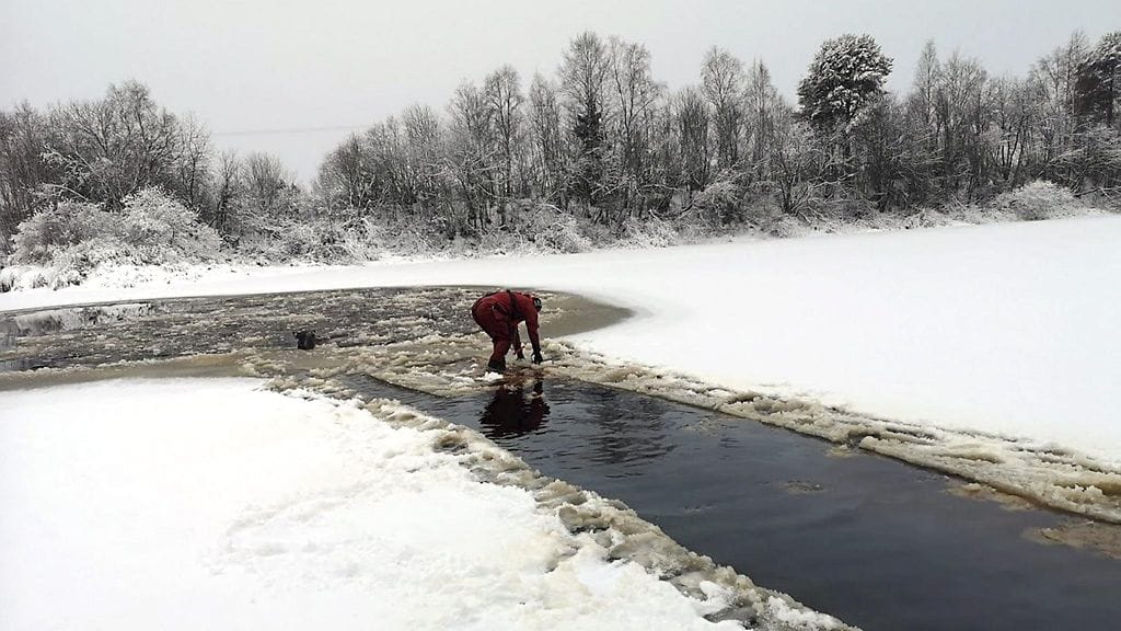 Lehtikuva hirviavanto 54308954 (1)