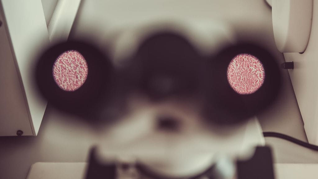 shutterstock_626244719