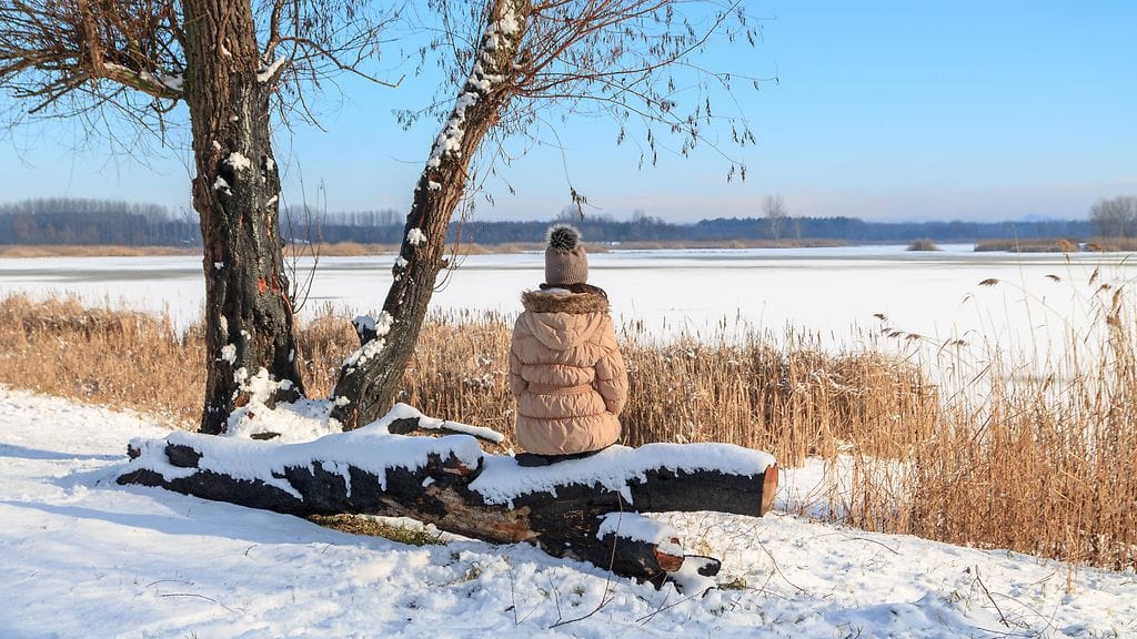 shutterstock_241526041