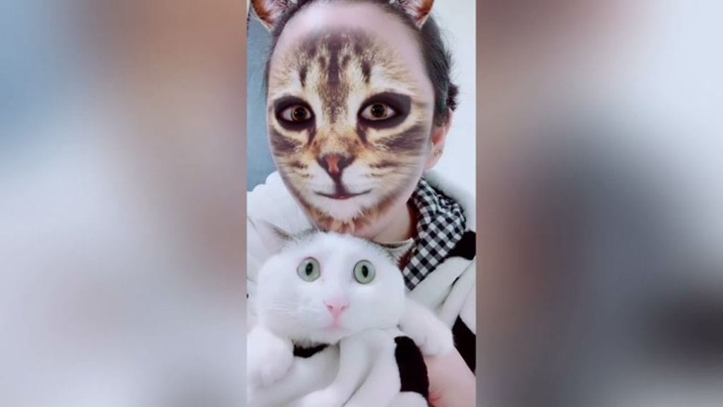 Kissat reagoivat puhelimen peilikuvaan ja kissafiltteriin hulvattomilla tavoilla.