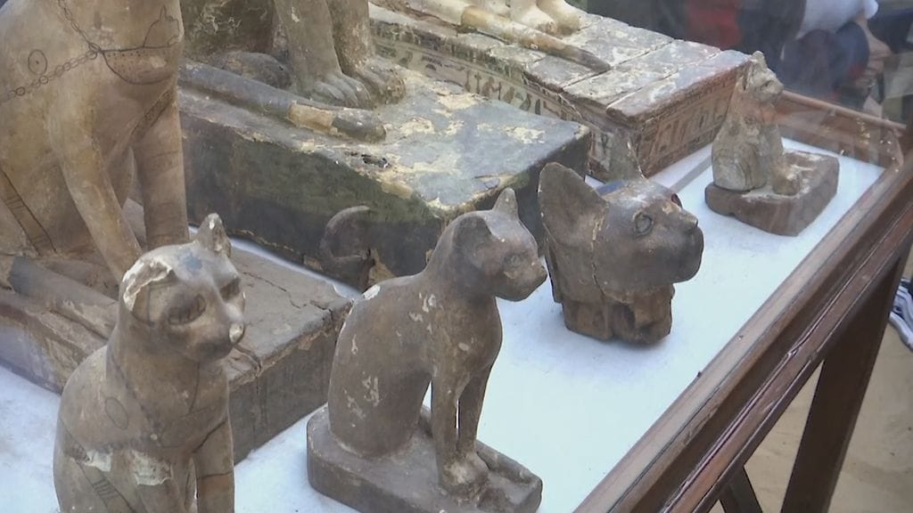 egyptin saqqara kissapatsaita