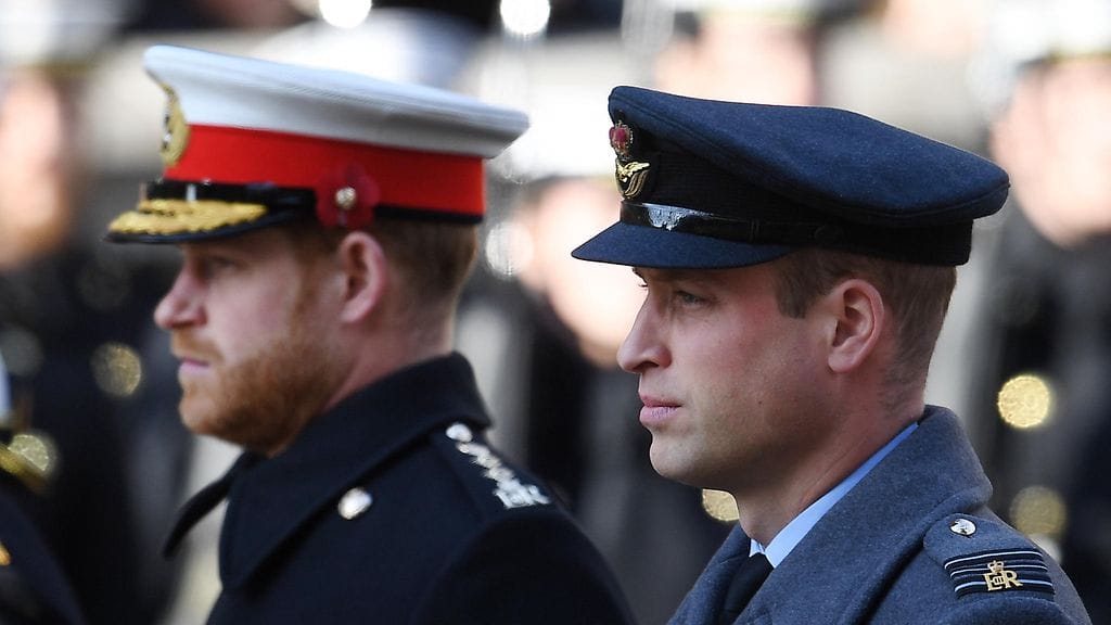 prinssi Harry prinssi William