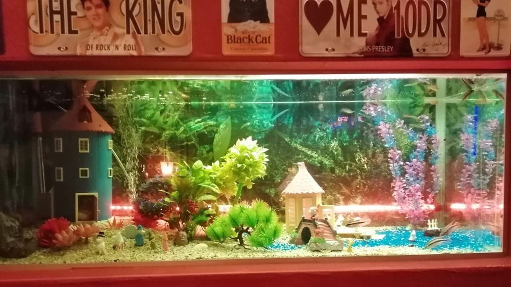 KUVA VAIN LIFESTYLEEN 78186454_2386402811576769_6723120300810043392_n