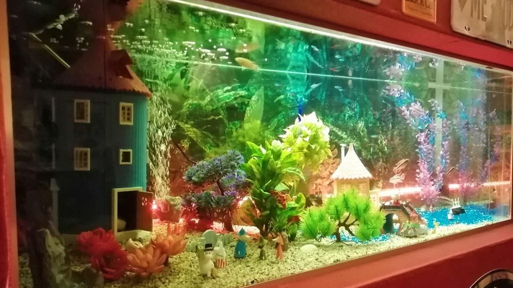 KUVA VAIN LIFESTYLEEN 76227142_446127529431361_7445758315117674496_n