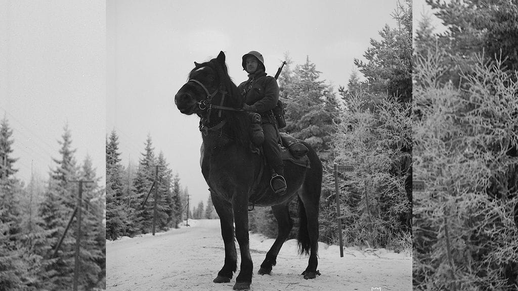 Suomalaisten sota-ajan keksinnön uskotaan pelastaneen tuhansia hevosia. Hevosen virtsaputki neulottiin suojaan hevosen hännän alle.