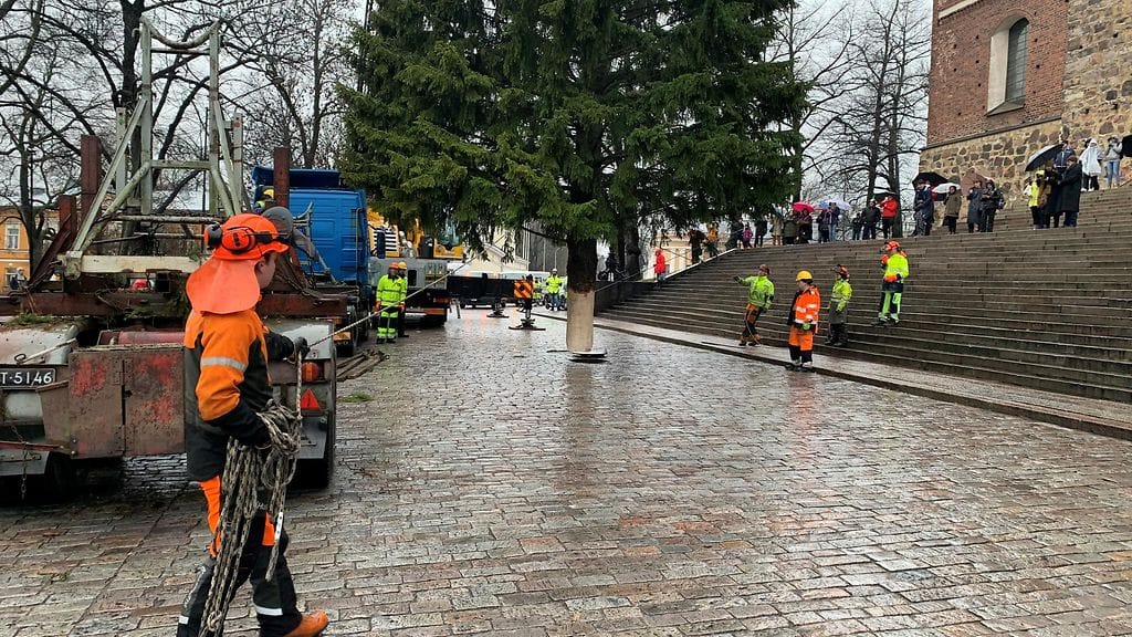joulukuusi Turku