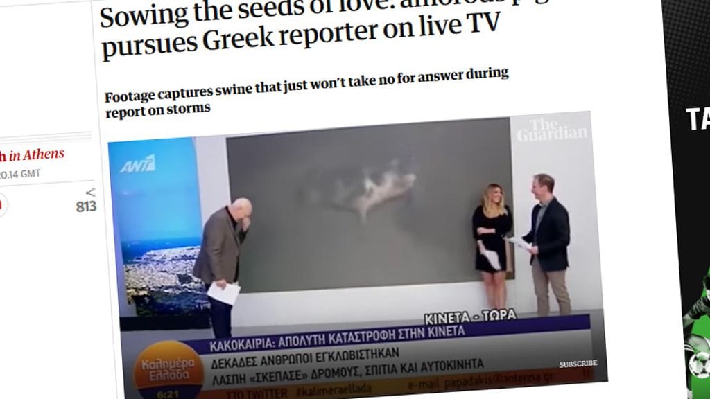 Rakkaudennälkäinen eläin sai studiossa suorana tapahtunutta tilannetta seuranneiden pokat pettämään.