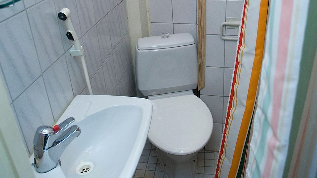 Kuvituskuva. Harvasukasmatoihin kuuluva Dichocaster Bolaui eli viemäriliero asustelee nimensä mukaisesti viemäreissä.