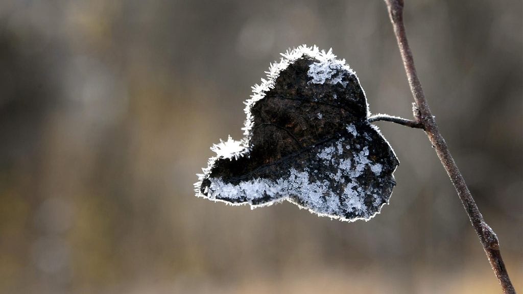 Pakkasta on luvassa suuressa osassa maata.