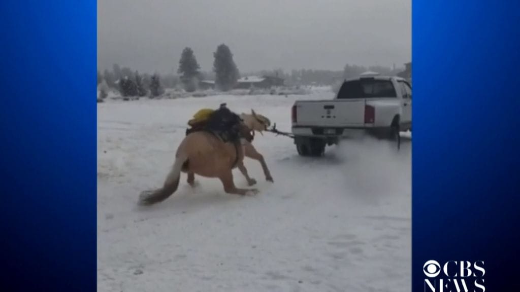 Kuvakaappaus CBS Newsin videolta.