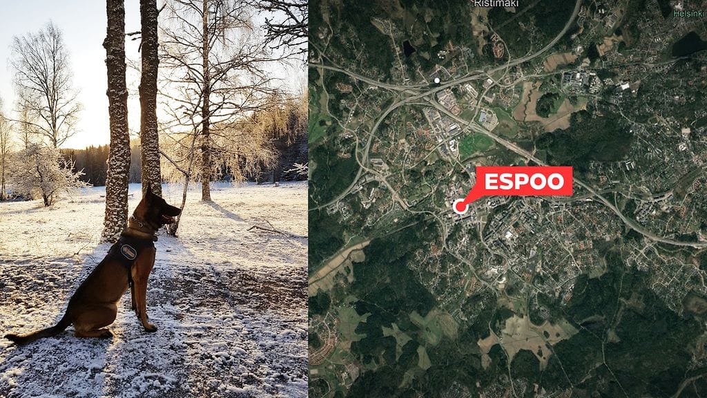 Poliisipartioiden mukana ollut Leevi-poliisikoira löysi espoolaisnaisen vain vajaan tunnin etsintöjen jälkeen.
