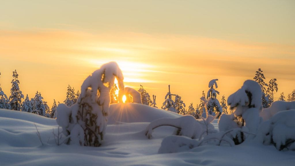 Nämä kauniit nietokset kuvattiin Puolangalla.