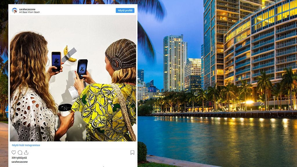 Yli sadantuhannen euron arvoiset banaanit ovat herättänyt suurta huomiota. Yksi on myynnissä tällä hetkellä Miamissa, ja kaksi muuta on jo myyty.