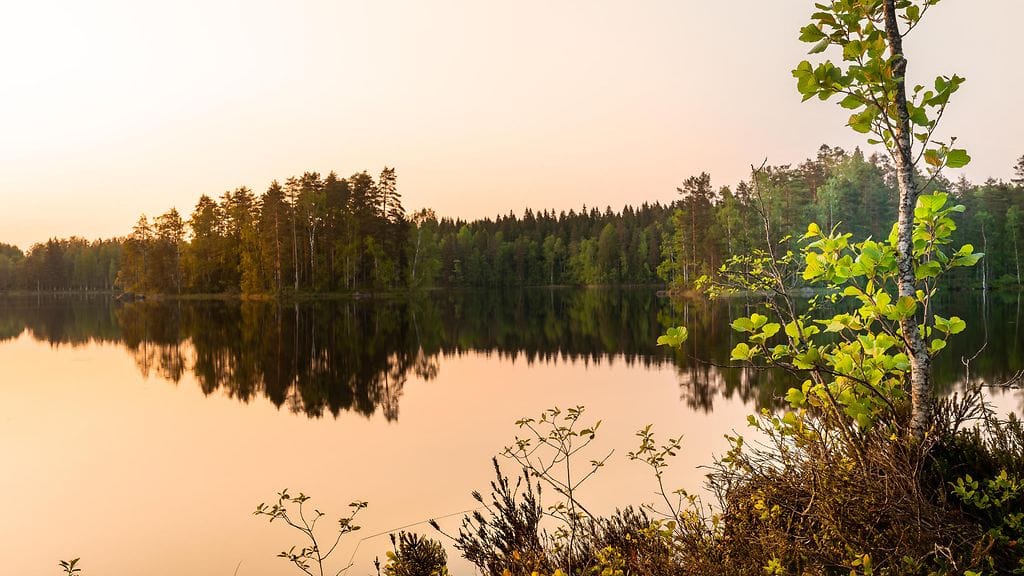 AOP, suomi, metsä, luonto, maisema, kesä, järvi