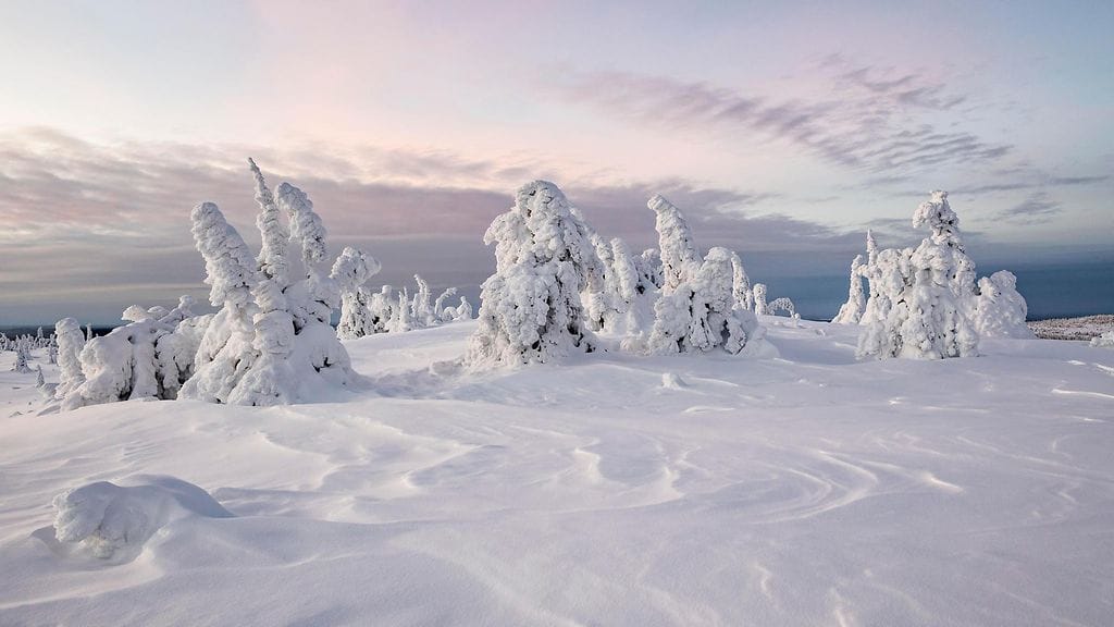 Kiinalaisen uudenvuoden vuoksi Lapissa on useita tuhansia kiinalaisturisteja. Kuvituskuva.