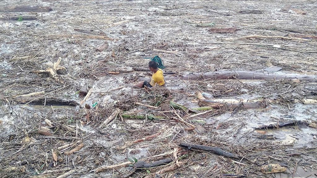 Asukakkaat keräsivät puuta käyttöönsä tulvivalta riisipellolta torstaina.