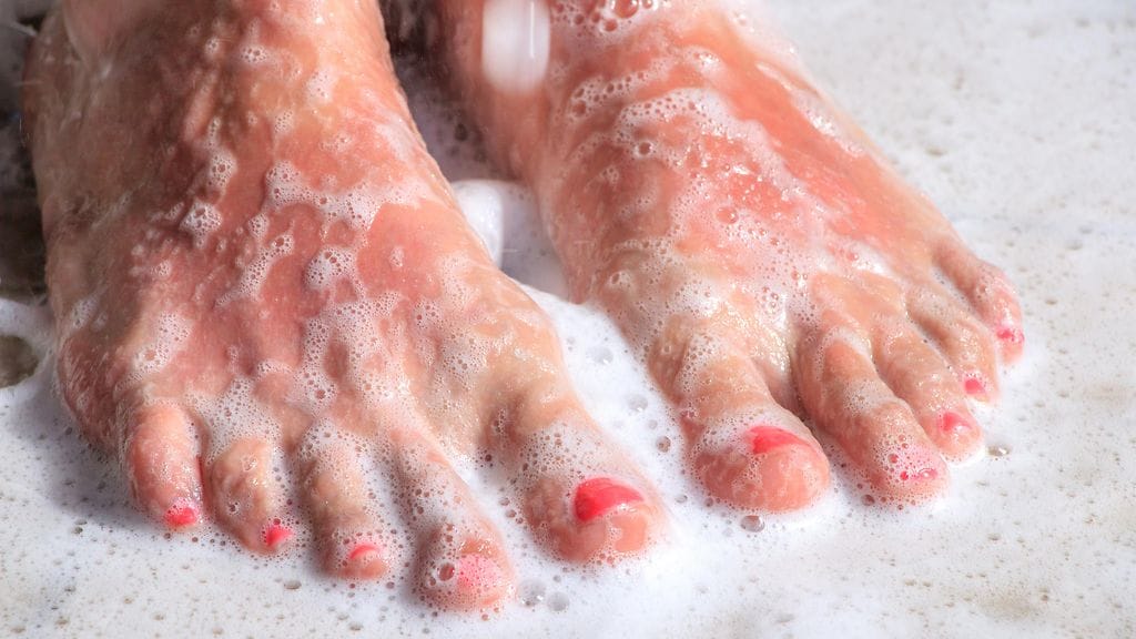 shutterstock_776196157