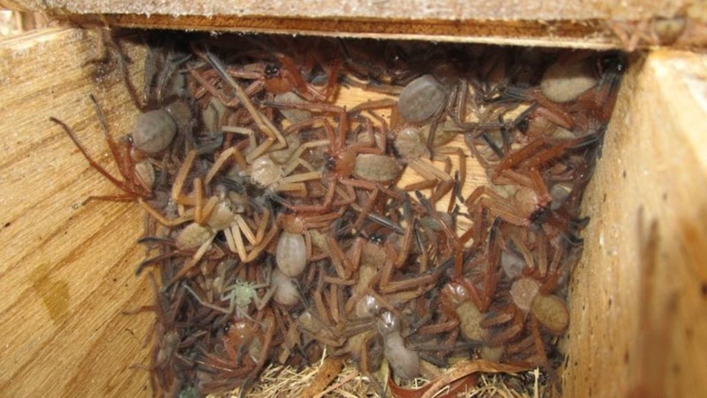 Kuva: Bush Heritage Australia