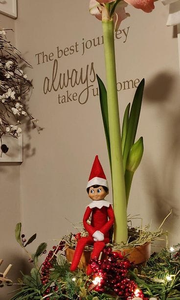 IMG_20191209_152537__01