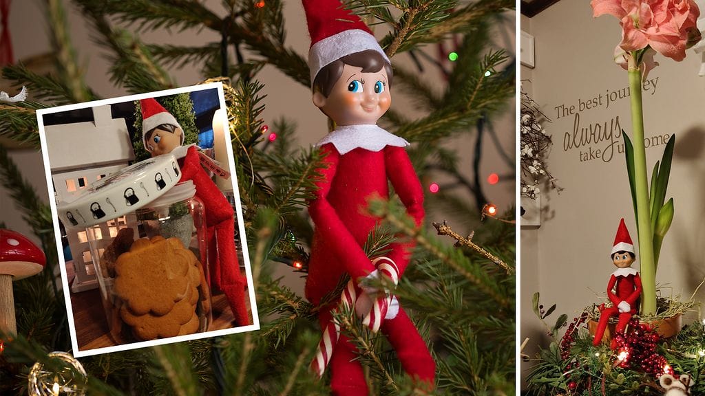 Alun perin kirjassa vuonna 2005 esiintynyt tonttu, elf, tarkkailee lapsia esimerkiksi hyllyn, shelf, päällä, ja raportoi näkemänsä Joulupukille. Kirjan mukana tuli oma tonttu, joka sijoitetaan kotiin tarkkailemaan perheen lapsia.