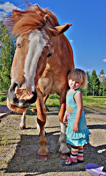 72963215_869223720139028_4959603065465339904_n