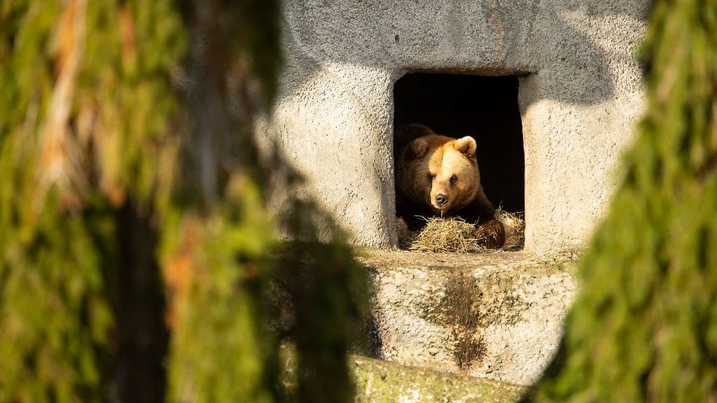 Kuva Annika Sorjonen, Korkeasaari