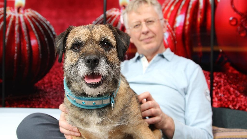 Pekka Poudan borderterrieri Sini on tuttu näky Huomenta Suomen lähetyksissä.