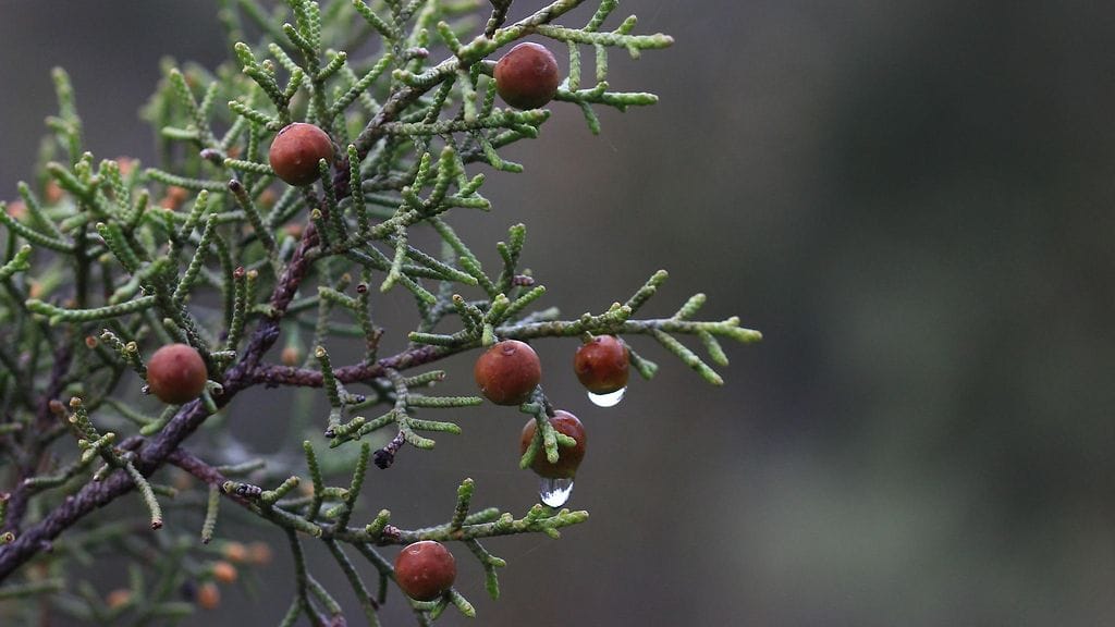 Etelä- ja luoteisosissa lämpömittari on pysynyt plussan puolella jo jonkin aikaa.