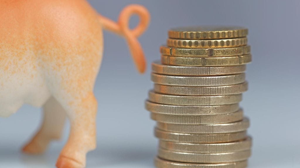 Suomesta lihaa Kiinaan vievät HKScan ja Atria, jotka ovat molemmat raportoineet vientinsä Kiinaan reipastuneen.