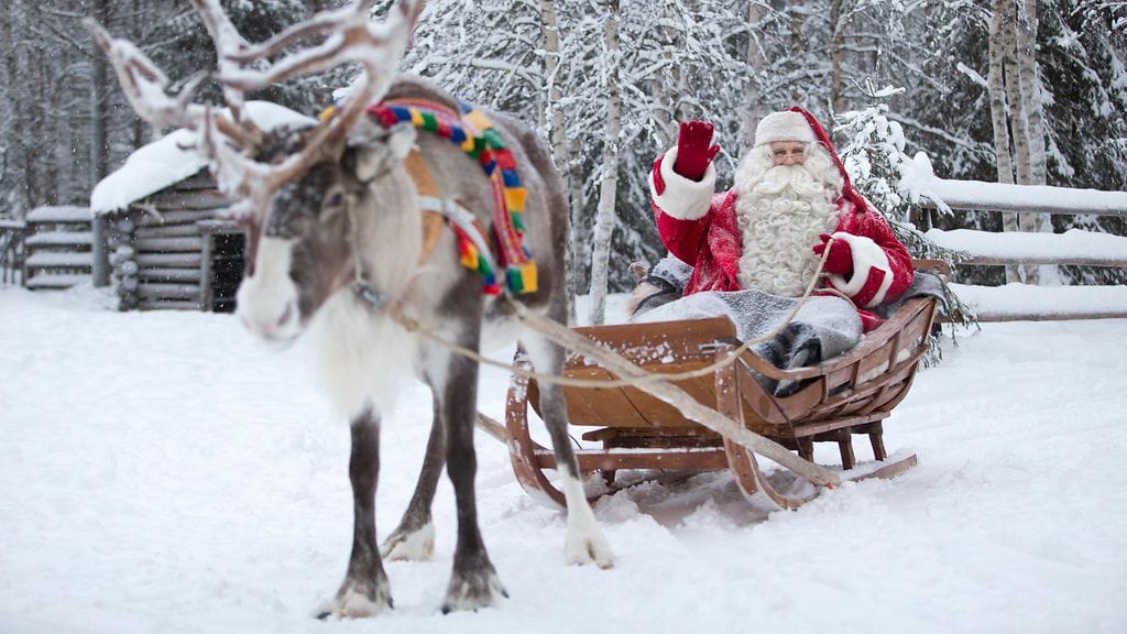 Varokaa poroja. Kaikki porot eivät ole yhtä lainkuuliaisia kuin joulupukin Petteri Punakuono.